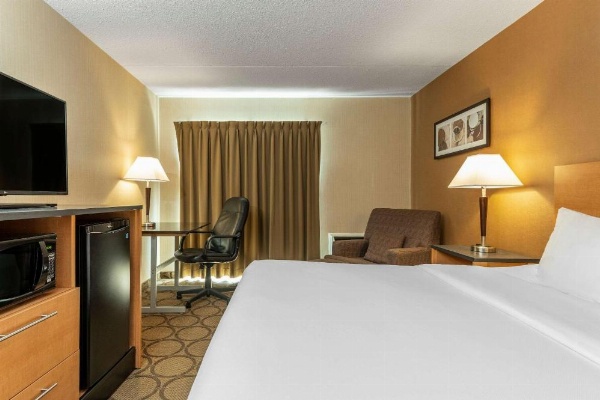 Comfort Inn Laval image 12