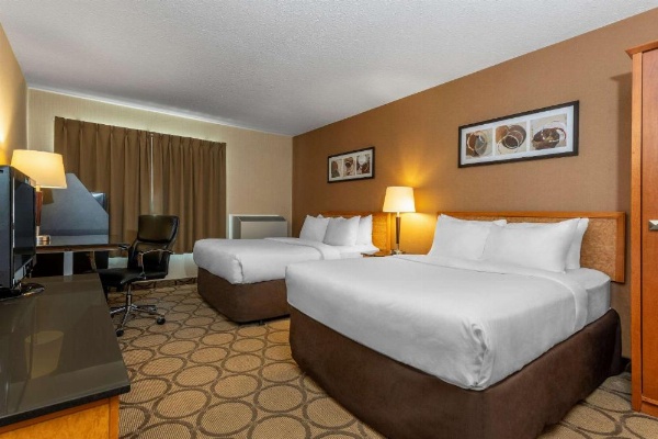Comfort Inn Laval image 15