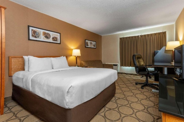Comfort Inn Laval image 8
